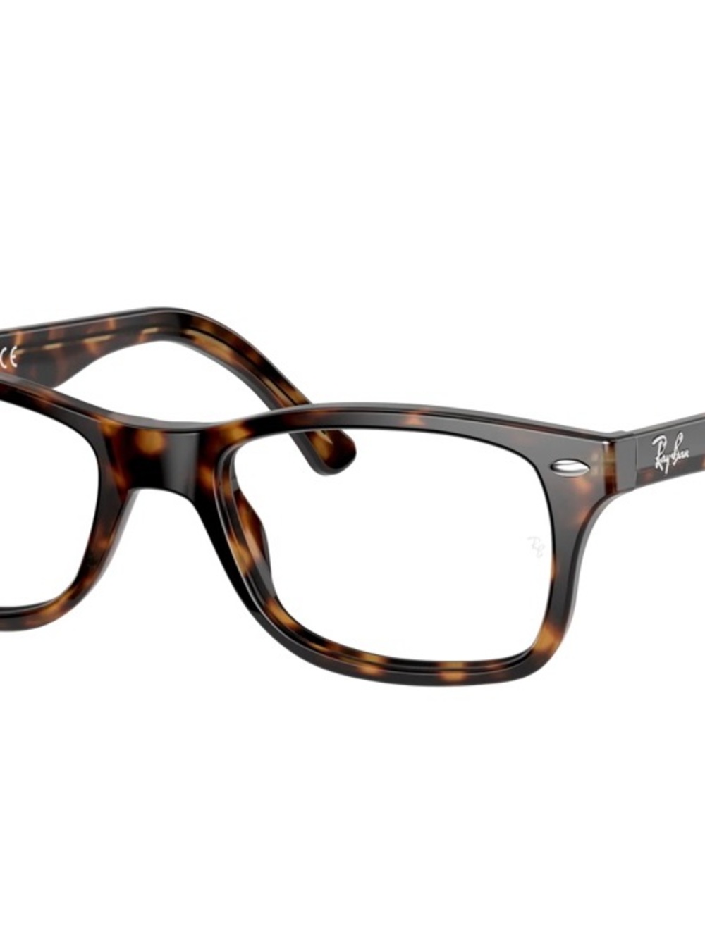 Ray-Ban Tortoiseshell Eyeglasses and Case with Embossed Logo